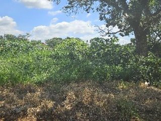 Imagem do imóvel TE03063