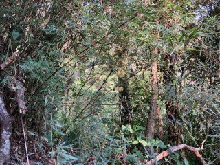 Imagem do imóvel TE00367