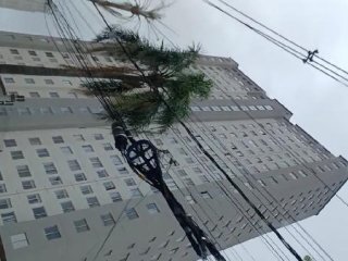 Imagem do imóvel AP87599