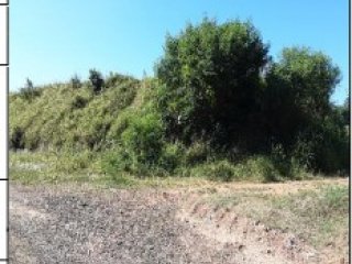 Imagem do imóvel TE92307