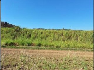 Imagem do imóvel TE00239