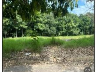 Imagem do imóvel TE99647