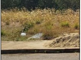 Imagem do imóvel TE90709