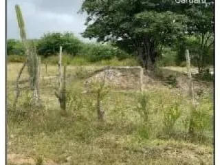 Imagem do imóvel AP21396